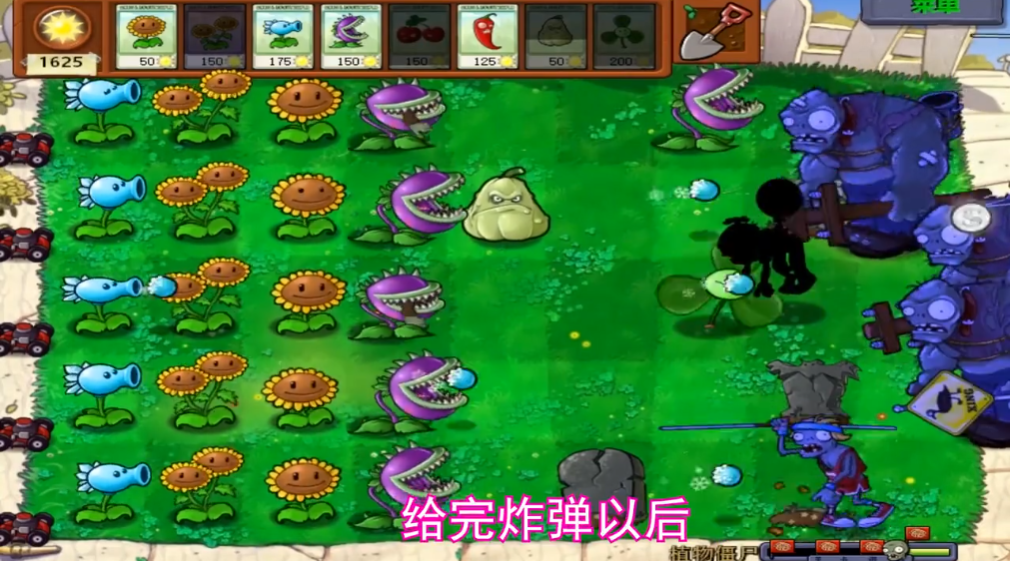 植物大战僵尸95版27怎么过