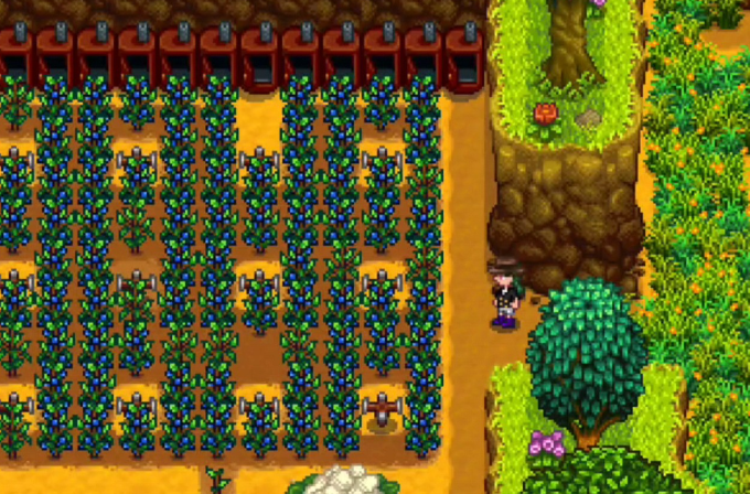 星露谷物语夏季怎么赚钱