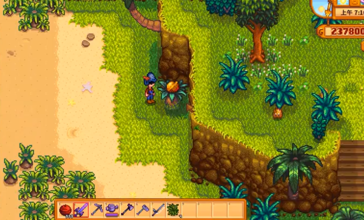 星露谷物语姜岛核桃怎么拿