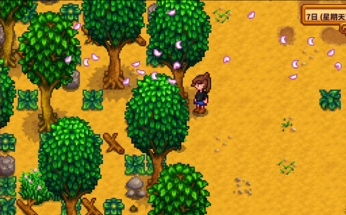 星露谷物语树种哪里好