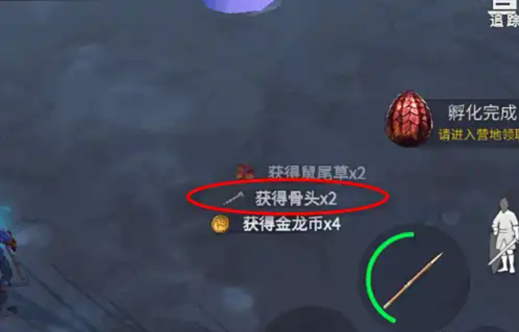 冰原守卫者从哪里可以获得骨头