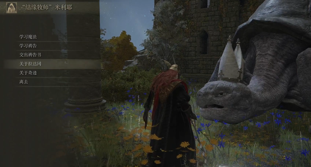 艾尔登法环乌龟老师在哪