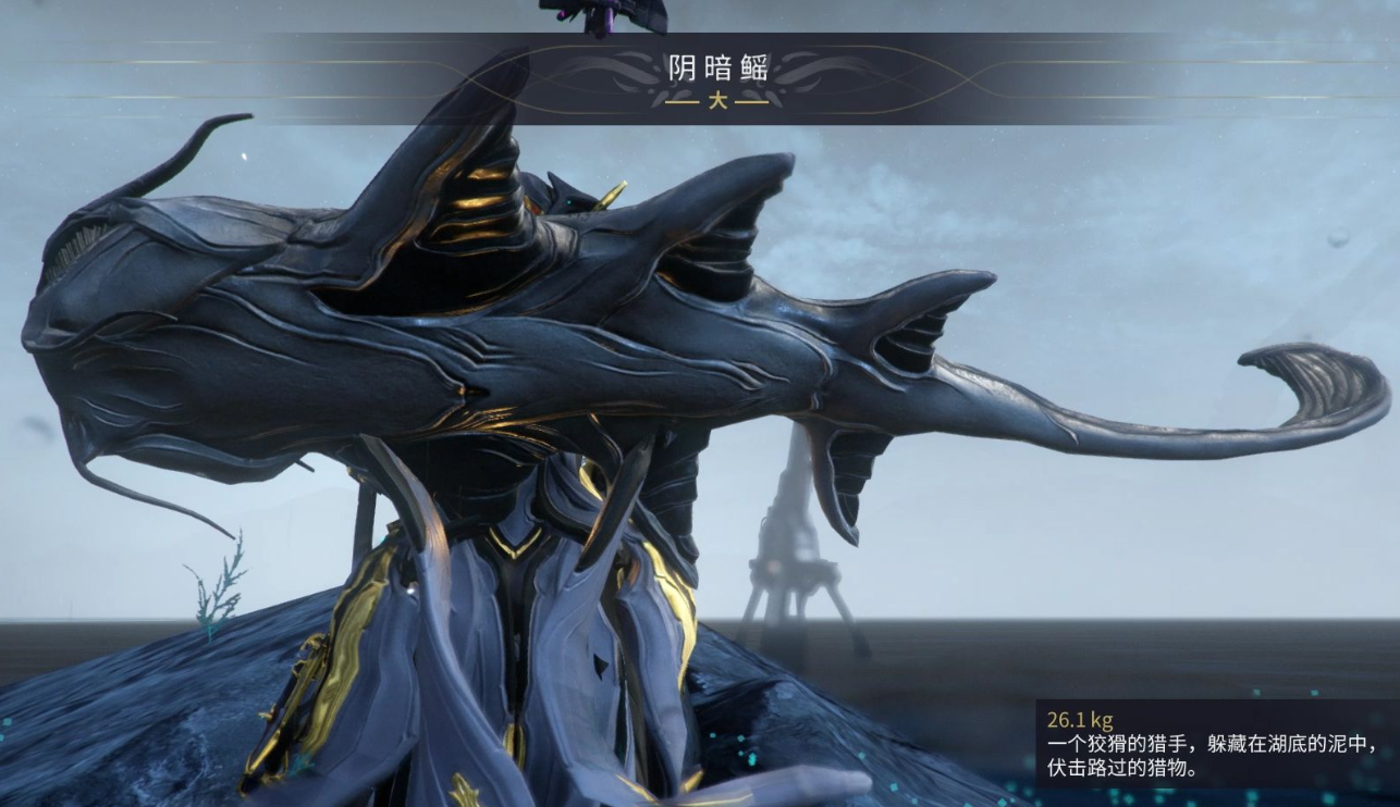 星际战甲夜灵平原稀有鱼在哪里