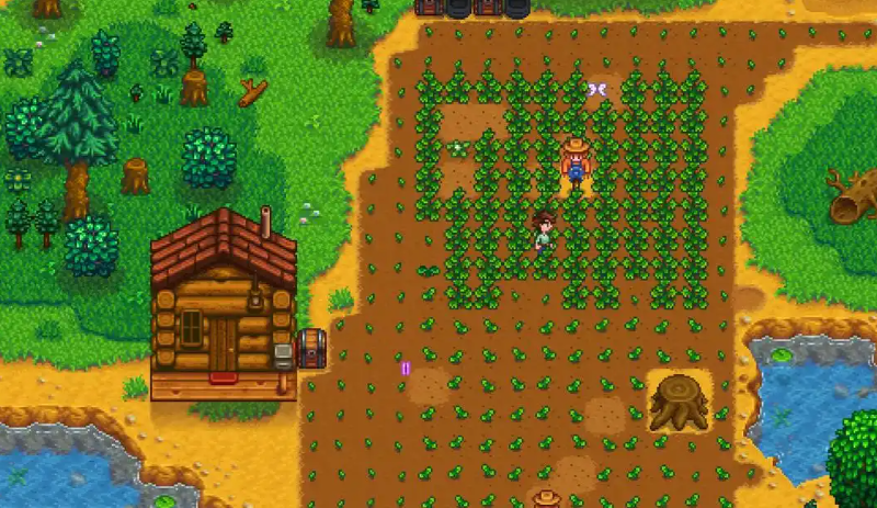 星露谷物语怎么让配偶干活