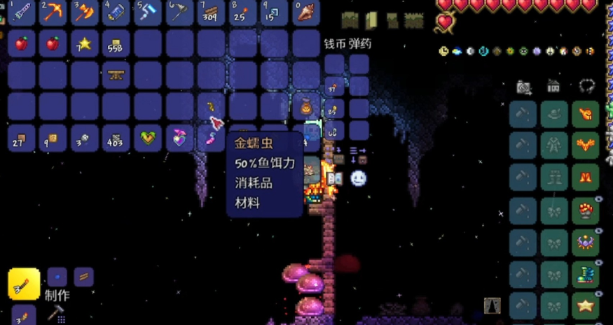 泰拉瑞亚特殊鱼怎么钓