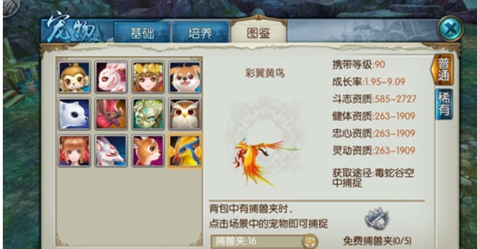 诛仙手游青云宠物加点怎么附灵动
