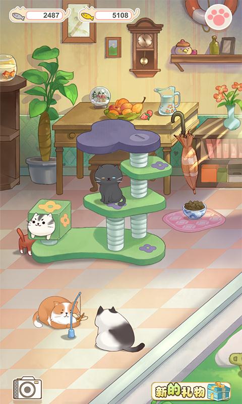 猫宅日记-01